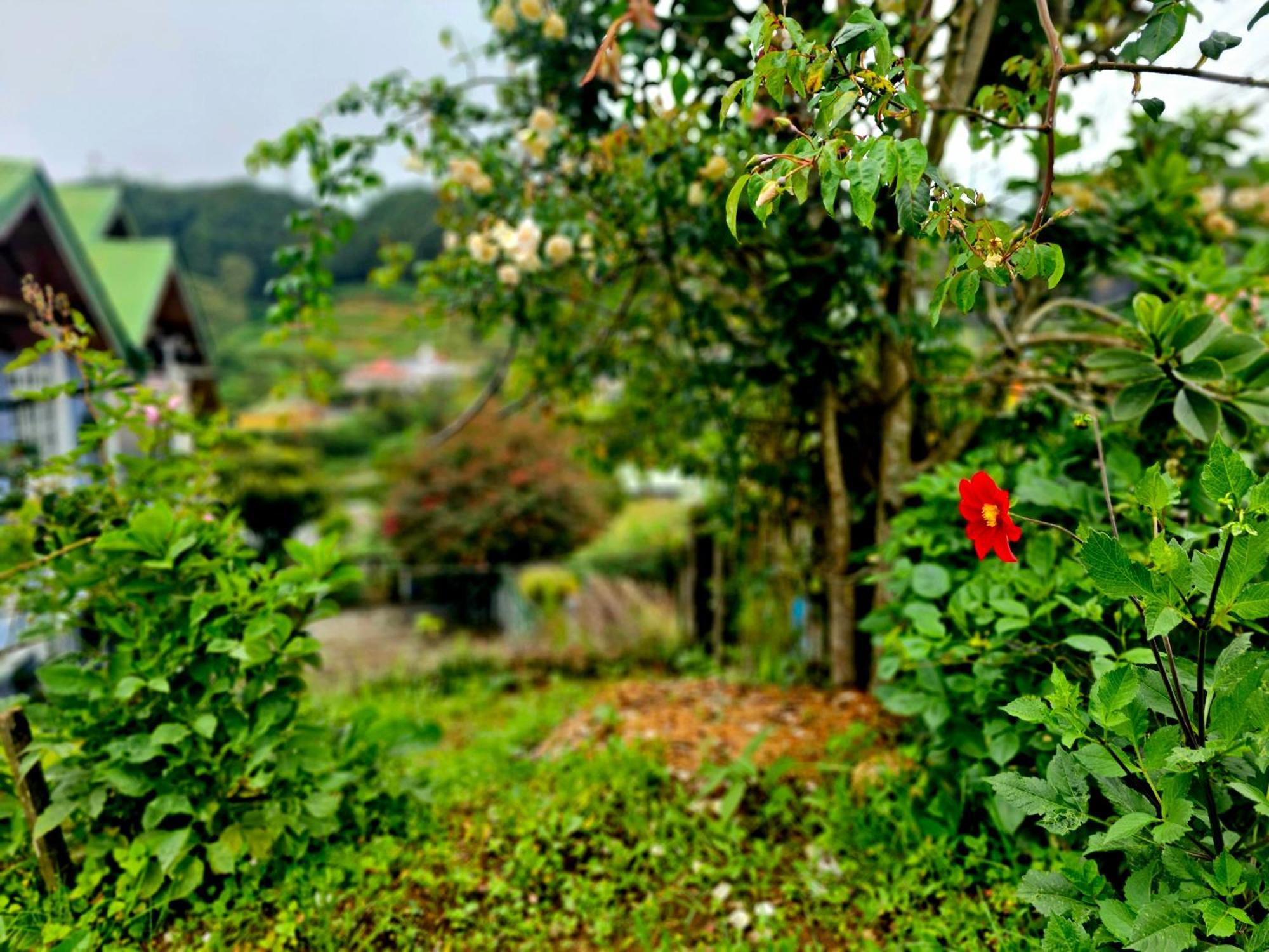 Haven Backpackers Hostel Nuwara Eliya Luaran gambar