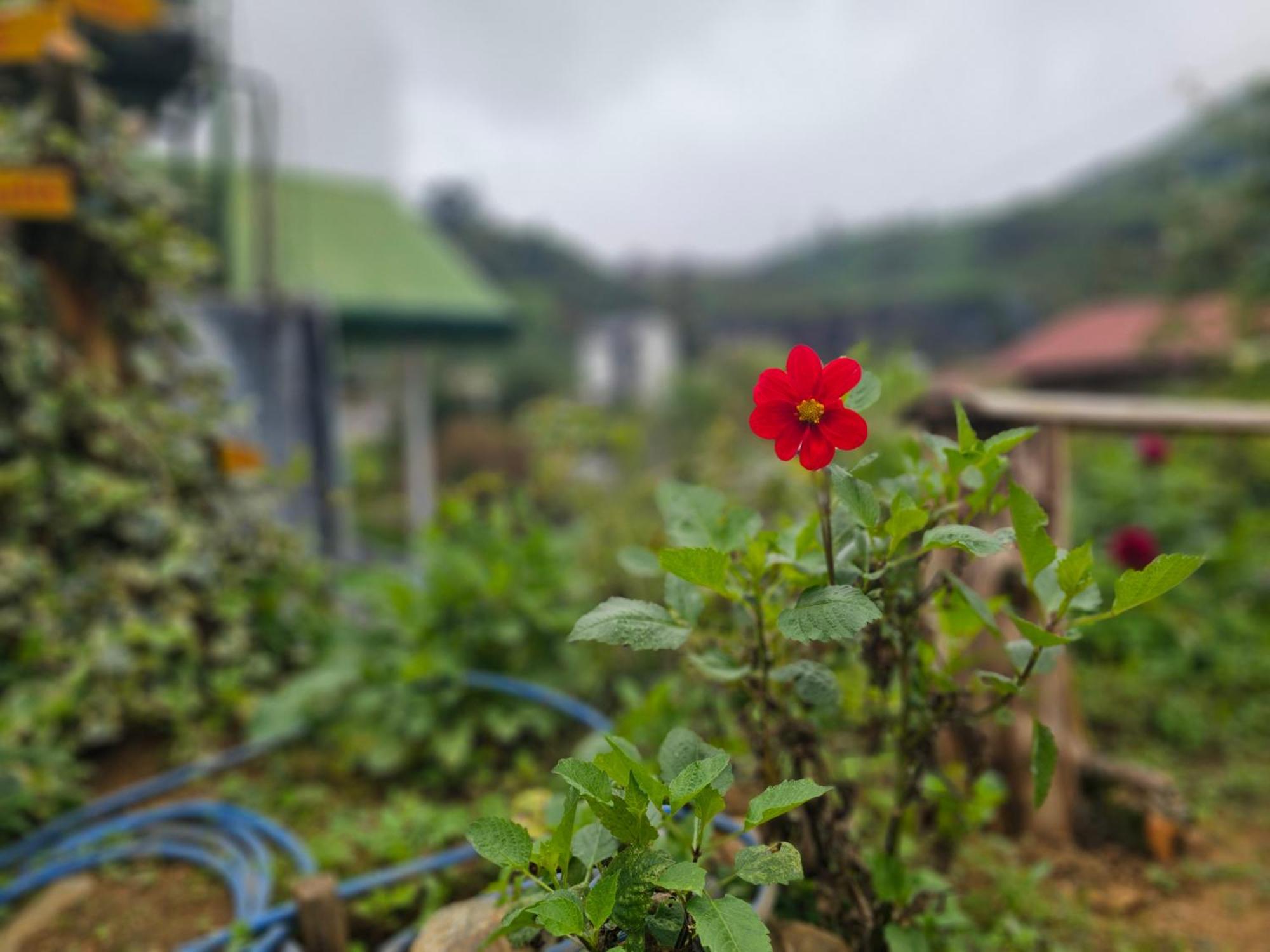 Haven Backpackers Hostel Nuwara Eliya Luaran gambar