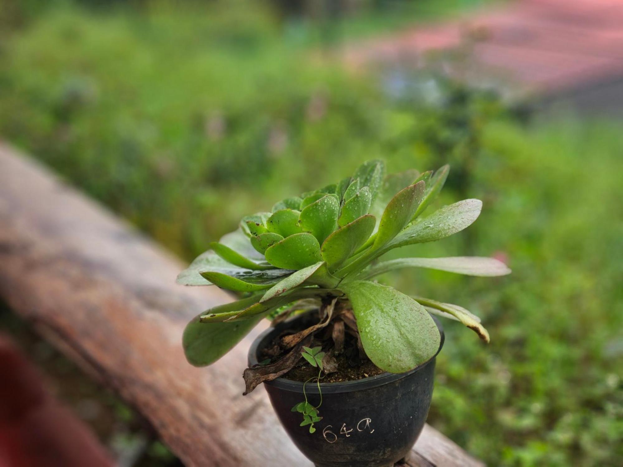 Haven Backpackers Hostel Nuwara Eliya Luaran gambar